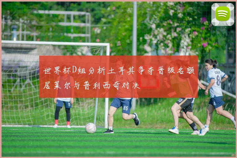 世界杯D组分析土耳其争夺晋级名额居莱尔与普利西奇对决