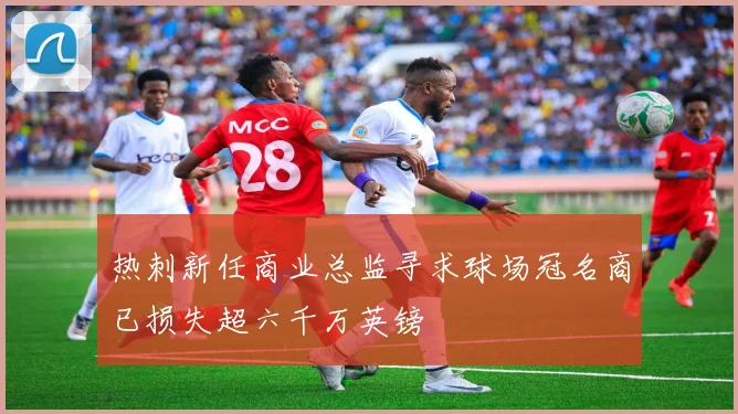 热刺新任商业总监寻求球场冠名商已损失超六千万英镑