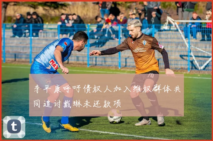 李平康呼吁债权人加入维权群体共同追讨戴琳未还款项